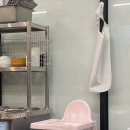 신항대패 이미지