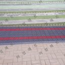 서울자양초등학교 이미지