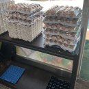 이천 창전동 한마음고기백화점 이천 식육점 고기 맛집 고기 좋은집