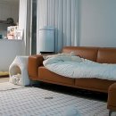 홈 | 강아지 분리불안 해결템? 강아지 홈캠 헤이홈 솔직 후기