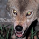 자연으로Ⅰ 이미지