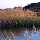 [생태탐방] 소래포구 이미지