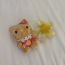 화성카프라자 | 괌에서 행복 찾아오기