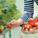 김종연농장 이미지