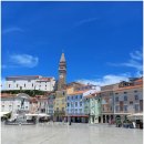 위례더나은집공인중개사사무소 | 위례 트램 개통 중앙광장 상권 변화와 기대 효과