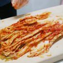 고랭지 | 배추 김치 5kg 10kg 포기 국내산 프리미엄 솜씨가 고랭지 김치 최저가 할인 후기