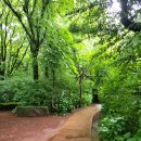 빽다방제주함덕점 이미지