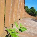 신장개업 이미지