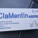 오류온누리약국 이미지