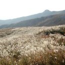 산이좋아 산악회 1차 정기산행(천관산 723 m) 이미지