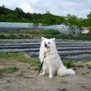 염포양정도서관 이미지