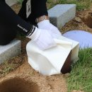 호국원묘역2 이미지