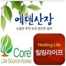 힐링라이프선교회가 라식.라섹.녹내장 수술비용을 저렴하게 지원합니다. 이미지