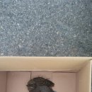 가인동물병원 이미지