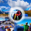 제이에스2012 | 뉴질랜드 밀포드 제이에스투어 실시간 후기 사진