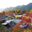 옥천파크 이미지