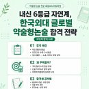내신 6등급 자연계, 한국외대 글로벌 약술형논술로 만든 합격 전략 이미지
