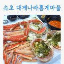 속초대게나라홍게마을 | 속초 대게나라홍게마을 조양동 킹크랩 고속버스터미널 맛집 시세 가격