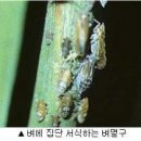 시골이야기 041 가을 40 농약병 줍기 이미지