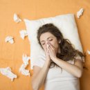 오늘은 닭 이미지