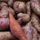 백년여관 이미지