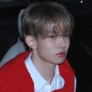 그린세상