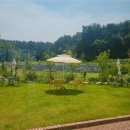 고요한 숲 이미지