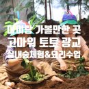 토토미용실 | [아이랑 갈만한 곳] 고마워 토토 광교 "시금치가 사는 법"(숲체험&amp;쿠킹) 3년째 다닐만큼 강추~