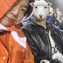 부산역전도가 | 잠실 데이트 | 잠실야구장 3루 블루석 115블럭 6열 시야 직관 후기_한화 vs LG (2026.04.21)