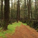 산자락영농조합법인 이미지