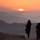 사랑나무 이미지