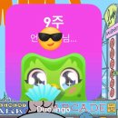 명랑가옥 | 11월 완벽주의자가 되려 하지 말고 경험주의자가 되라.