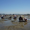 주전어촌체험마을 이미지