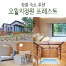 오월의정원 포레스트 이미지