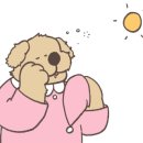 엔젤스가든 이미지