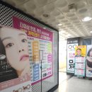 으뜸플러스안경둔산점 | 대전 둔산동 안경 추천 n년째 단골 으뜸플러스안경 대전둔산점