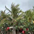 푸루메농장 | 나트랑 판랑사막 새벽투어 :: 피크타임 단독 투어 후기 2탄 (포롱자이사원, 포도농장, 항라이해안 등!)