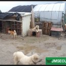 정호 농장 이미지