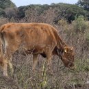 에이치알 농장 이미지