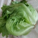 이영화농장 이미지