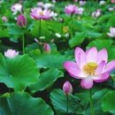 공원마을2길39 이미지