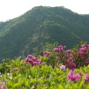 영인산자연휴양림 이미지