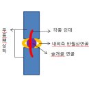 윤우로 일지＜2011.11.30＞ 이미지