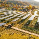 은행마을 태양광발전소 이미지