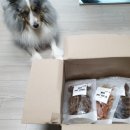 별이 펫푸드 이미지