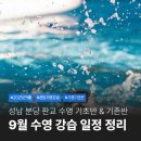 성남시분당서현청소년수련관(내 공연장) | 2025년 9월 성남 분당 수영 강습 일정 및 기초반 정리