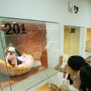 아이파크 동물병원 이미지