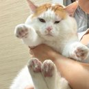 하누동물병원 이미지