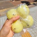 송화잔기지떡제주아라점 | 쫀득한 잔기지떡 좋아한다면 꼭 가봐야 할 파주 떡집, 송화잔기지떡