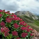 경천한의원 이미지